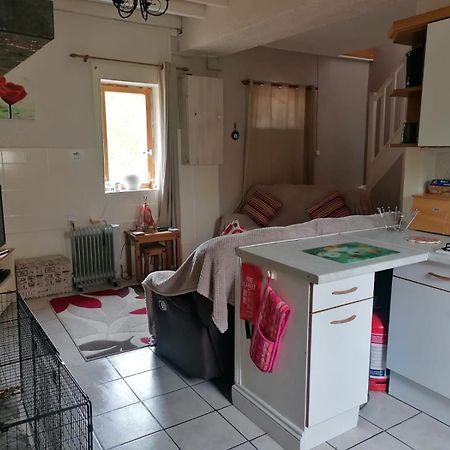 Le Petit Verger, 1 Impasse De La Fenouillere 61330 Céaucé Esterno foto