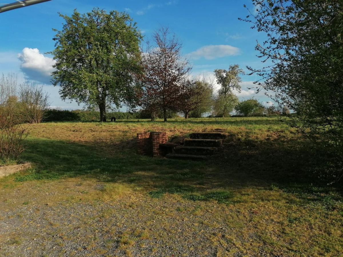 Le Petit Verger, 1 Impasse De La Fenouillere 61330 Céaucé Esterno foto