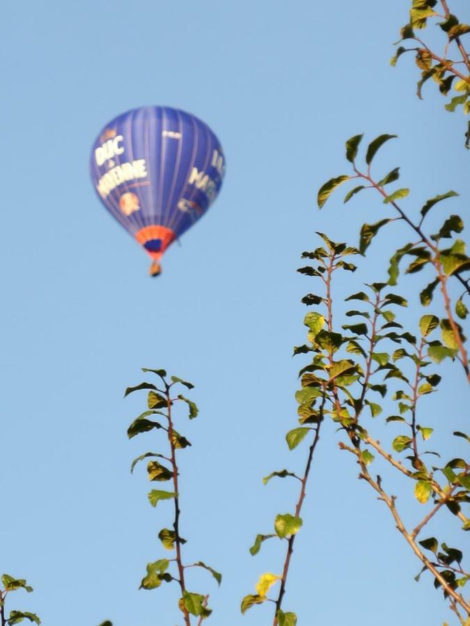 Le Petit Verger, 1 Impasse De La Fenouillere 61330 Céaucé Esterno foto